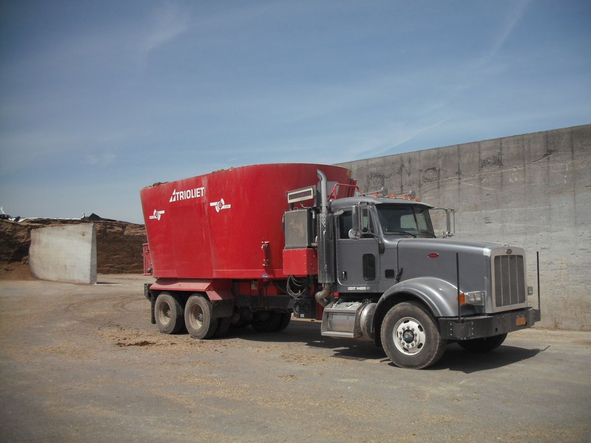 The-best-diet-feeder-is-a-second-hand-tub-mixer-mounted-on-a-truck