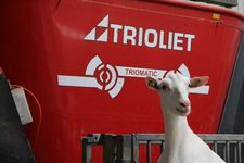 Triomatic T30, automatic feeding