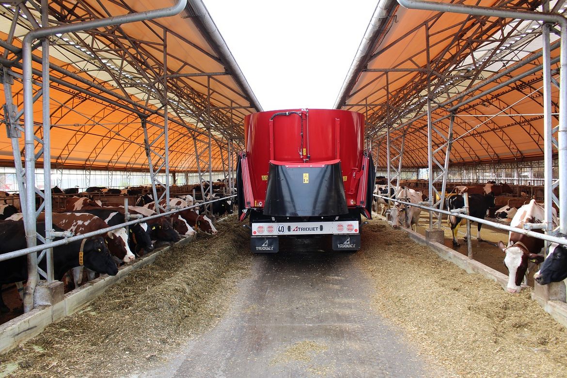 Used-silage-wagon-with-conveyor-belt-for-dairy-farmers