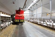 Triomatic T30, automatic feeding