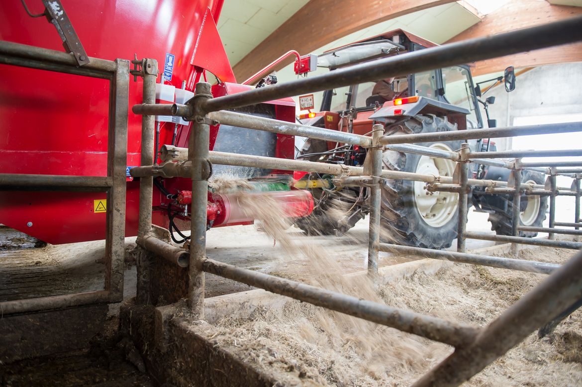 Use-a-spreading-roller-with-your-diet-feeder-to-feed-livestock